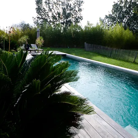 Dans Petit Mas Calme